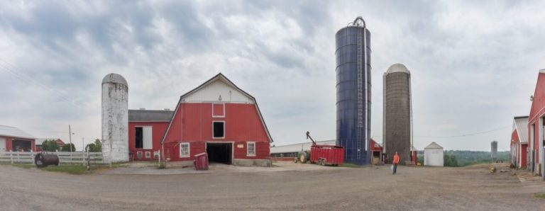 Excited About Milk Again: Local Byrne Hollow Farm Lactose Free Milk