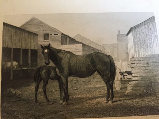 Laird's Applejack, Peter Culos, Jersey Bites