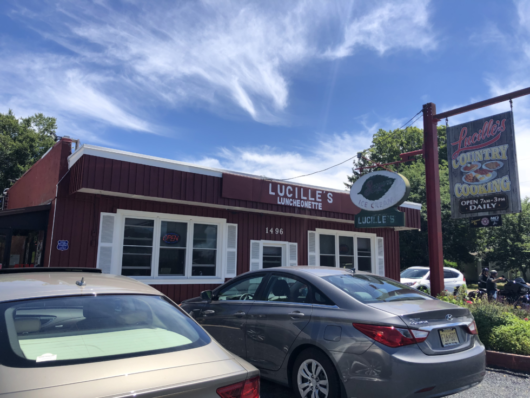 Pine Barrens, Christina Carrell, Jersey Bites