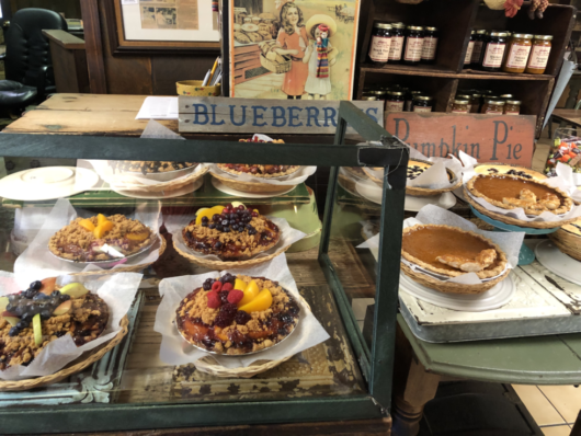 Pine Barrens, Christina Carrell, Jersey Bites