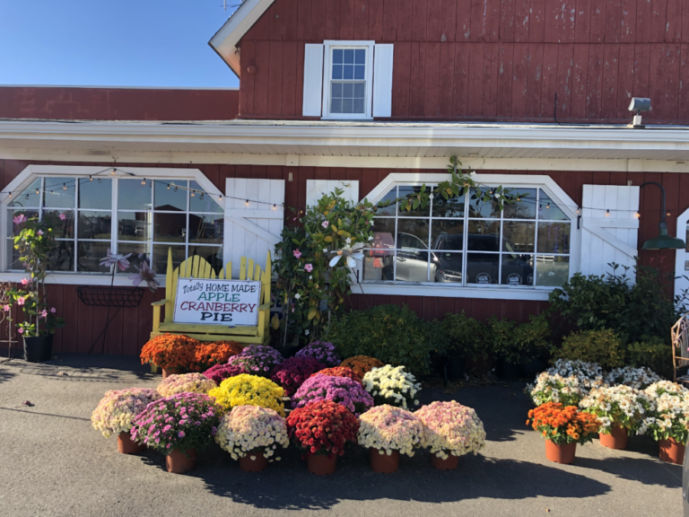 16 Unique Places to Eat and Drink in the NJ Pine Barrens