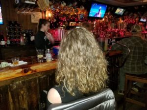 The Ark Pub & Eatery, Point Pleasant, Gabrielle Garofalo, A Lady Walks into a Bar, Jersey Bites