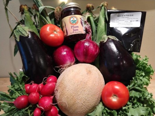 Meghan McCarty, CSA, 2019, Jersey Bites