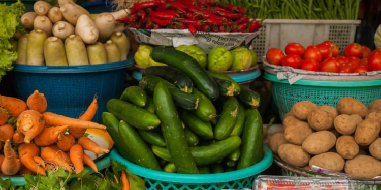 Top Jersey CSA Programs