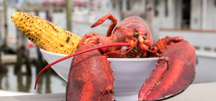 Surf City, Jersey City, Marina Kennedy, Jersey Bites