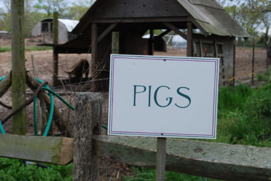 Cape May, Jersey Shore, Deb Smith, Jersey Bites, The Virginia Hotel, Congress Hall, Beach Plum Farm