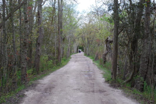 gravel path leading to farm