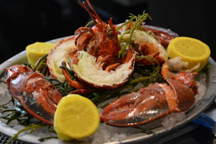 Blue Morel, Morristown, Michael Gabriele, Jersey Bites, Morris County, Bourbon and Blues