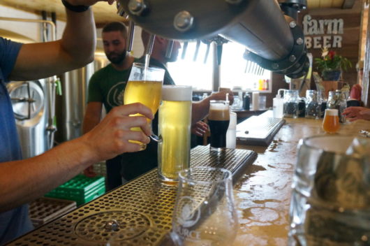 Peter Culos, Colts Neck, Source Brewing, Monmouth County, Jersey Bites, Beer Guy, Beer