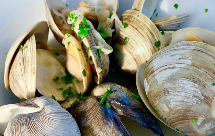 Trama's, Highlands, Jersey Bites, Gabrielle Garofalo, A Lady Walks into a Bar, Monmouth County