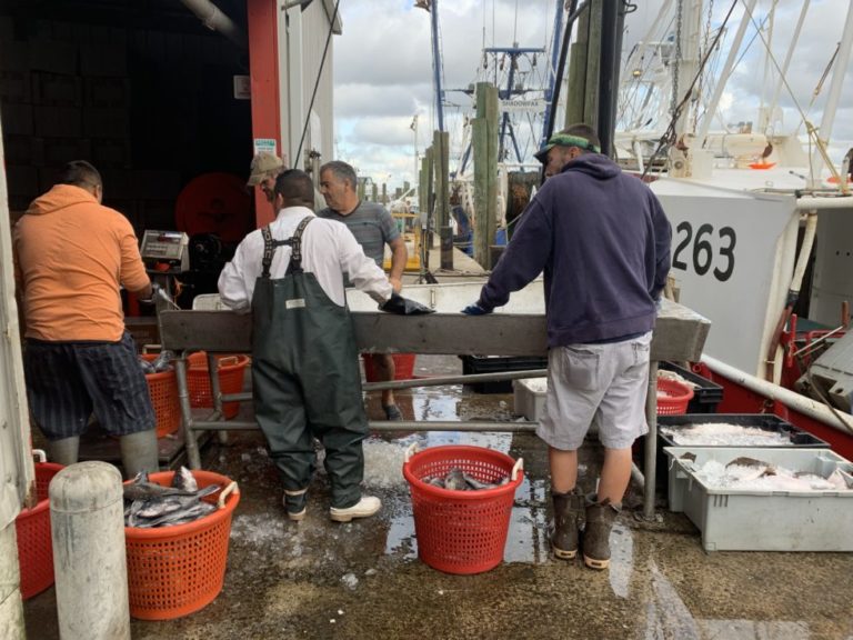 Fishing for Fresh Ideas to Fight Hunger