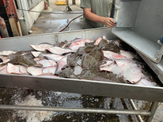 Fulfill, seafood, Jersey Bites, Lisa Howard-Fusco