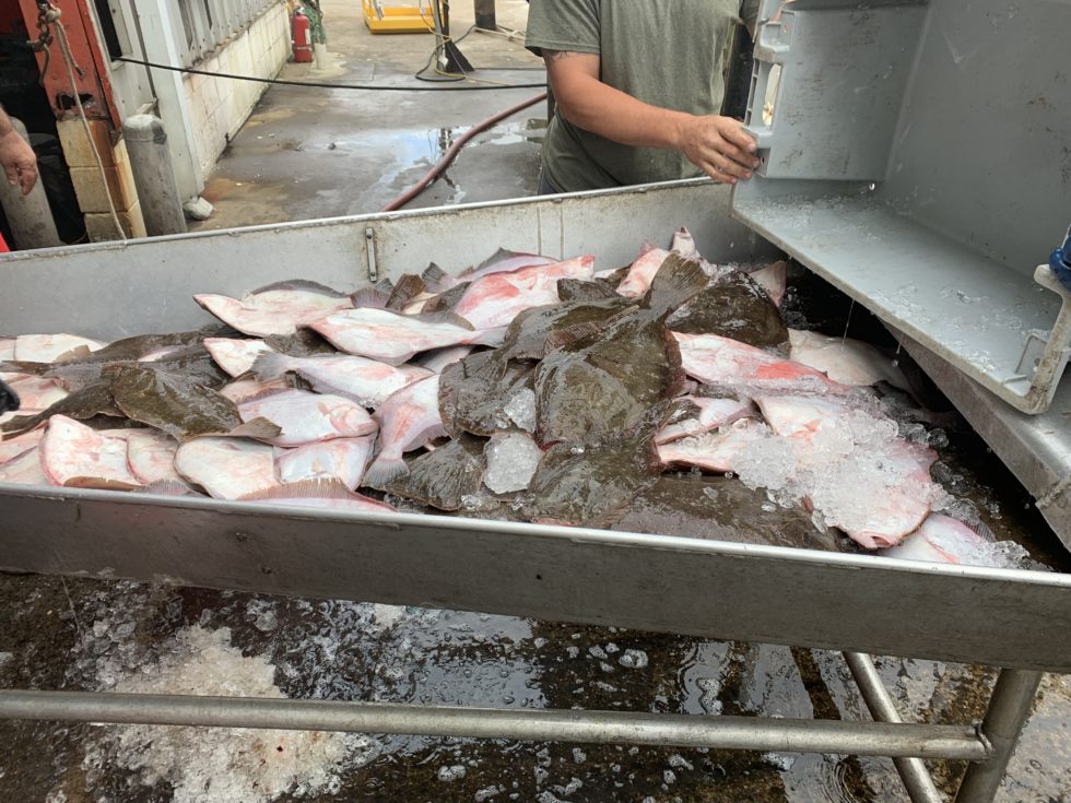 Affirm Fish Fishing for Fresh Ideas to Fight Hunger