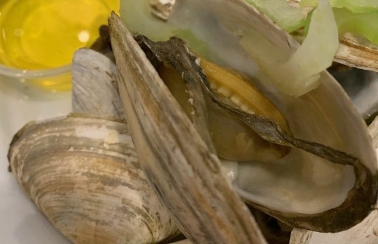 Mr. Shrimp, Belmar, Gabrielle Garofalo, Kim we were neightbotxo