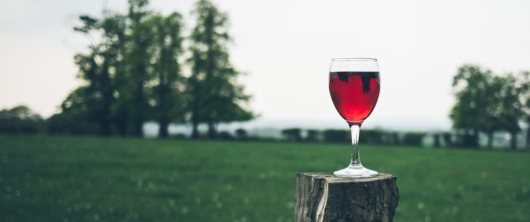 “Wine” Down this September with Salt Creek Grille – Princeton 