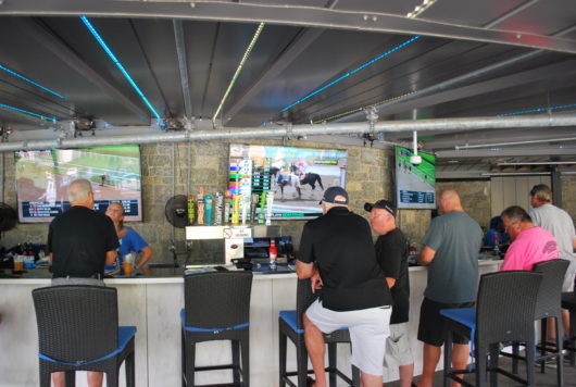 Bar at the Beer Garden