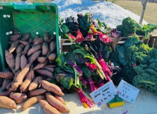Farmers Markets: Always in Season