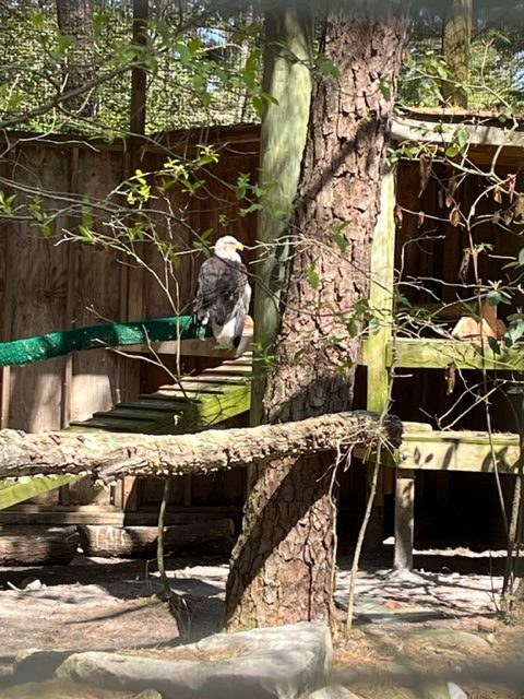 Jennifer Shafer, Woodford Cedar Run Wildlife Refuge, Medford, NJ