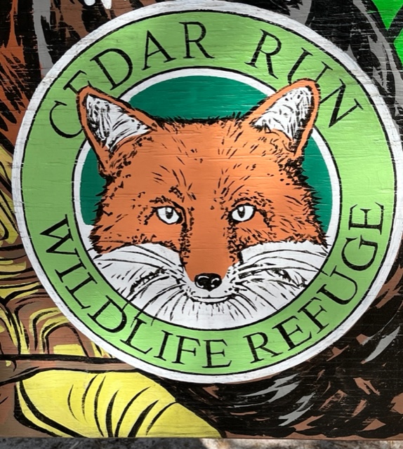 Jennifer Shafer, Woodford Cedar Run Wildlife Refuge, Medford, NJ