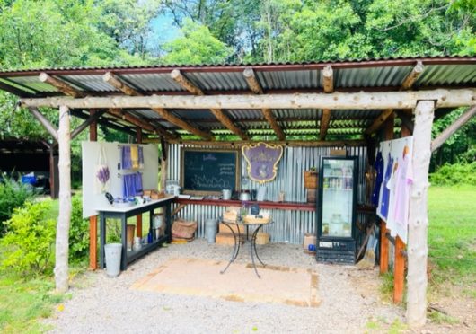 Mad Lavender Farm, Hunterdon County, 579 Trail, Jennifer Shafer, Jersey Bites