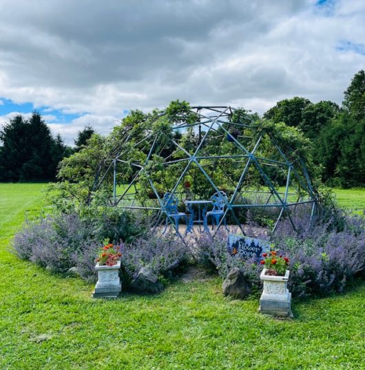 Mad Lavender Farm, Hunterdon County, 579 Trail, Jennifer Shafer, Jersey Bites