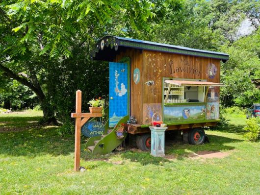 Mad Lavender Farm, Hunterdon County, 579 Trail, Jennifer Shafer, Jersey Bites