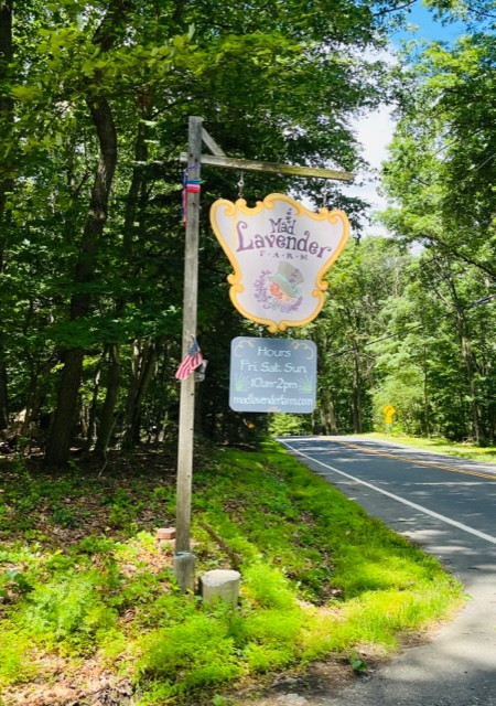 Mad Lavender Farm, Hunterdon County, 579 Trail, Jennifer Shafer, Jersey Bites