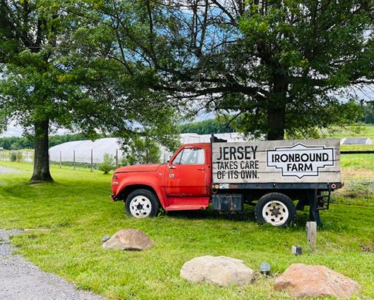 Ironbound Hard Cider, Hunterdon County, 579 Trail, Jennifer Shafer, Jersey Bites