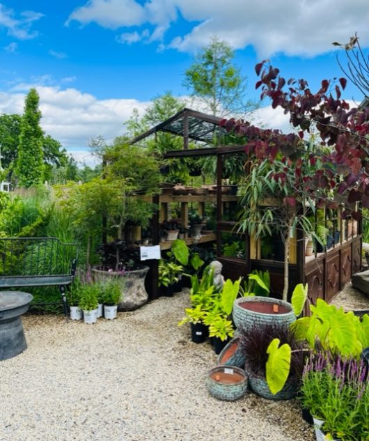 The Black Shed, Hunterdon County, 579 Trail, Jennifer Shafer, Jersey Bites