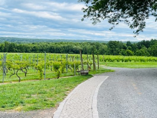 Old York Cellars, Hunterdon County, 579 Trail, Jennifer Shafer, Jersey Bites