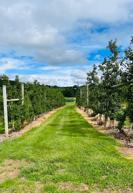 Phillips Farm, Hunterdon County, 579 Trail, Jennifer Shafer, Jersey Bites
