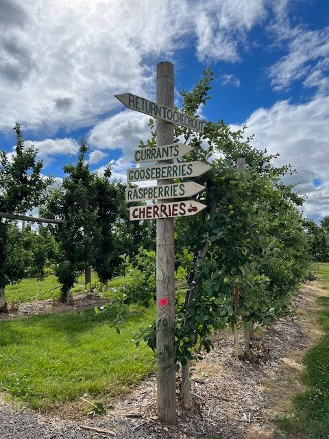 Phillips Farm, Hunterdon County, 579 Trail, Jennifer Shafer, Jersey Bites