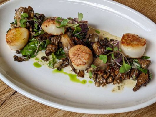 Agricola, Morristown