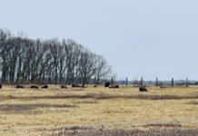 Readington River and Harper’s Table: A Day to Remember