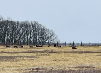 Readington River and Harper’s Table: A Day to Remember