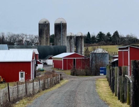 Readington River Buffalo Farm, Flemington, NJ, Jersey Bites, Jennifer Shafer