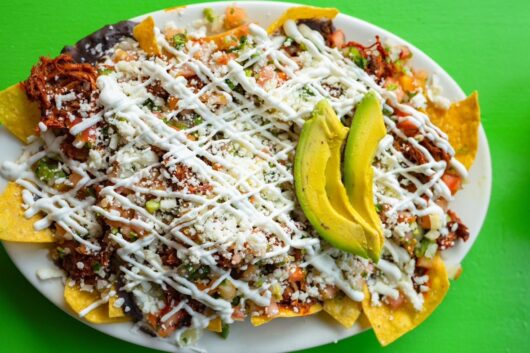 Nacho Libre, Rutherford, New Jersey restaurant openings, Jersey Bites