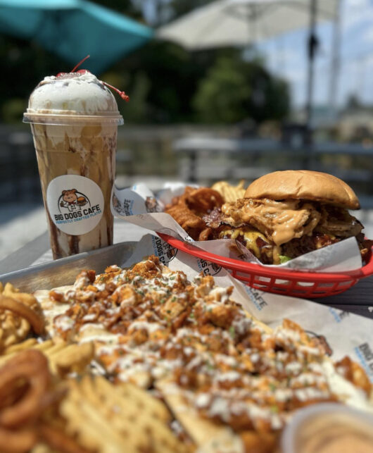 food from Big Dogs Cafe