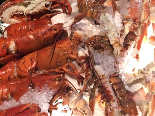 Pan Gregorian Charity Gala 2023, Venetian Ballroom, Garfield, NJ, Jersey Bites, Michael Gabriele