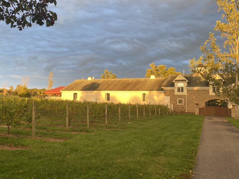 Unveiling the Terroir of New Jersey: The Quest for Italian Varietals