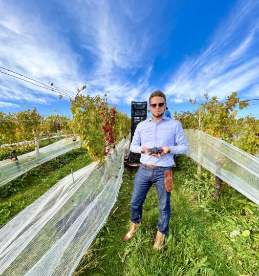 Unionville Vineyards, Jersey Bites, Marissa Muoio