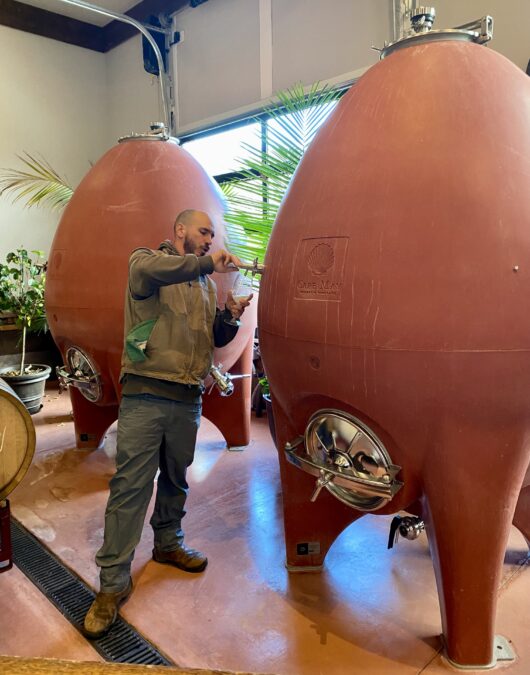 Cape May Winery and Vineyard, Mike Mitchell, amphora, Jersey Bites, Marissa Muoio