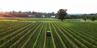 Jersey Bites, Beneduce Vineyards, Marissa Muoio, Mike Beneduce