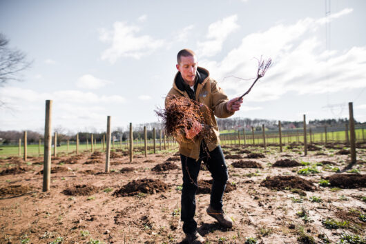 Jersey Bites, Beneduce Vineyards, Marissa Muoio, Mike Beneduce