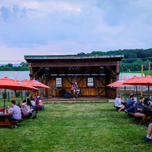 Jersey Bites, Beneduce Vineyards, Marissa Muoio, Mike Beneduce