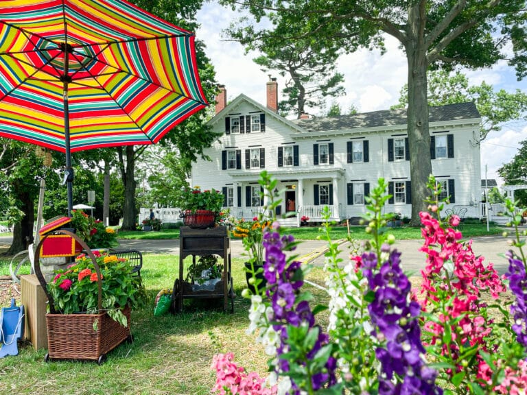 Stokelan Estate Winery: History, Family, and Exceptional Wines