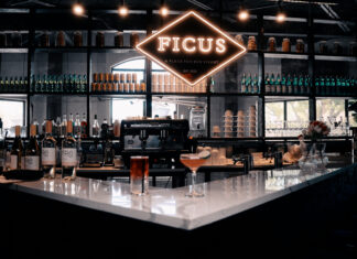 Sustainability and Seasonality: Ficus Blooms in Princeton, NJ