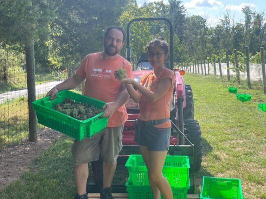 Lily and Otto Angelico of Angelico Winery in Lambertville, NJ, Jersey Bites