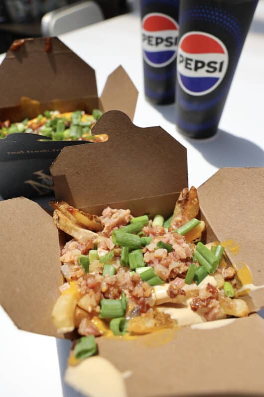 Bacon Double Cheese Fries at New York Fries in Jersey City for National French Fry Day on Jersey Bites.