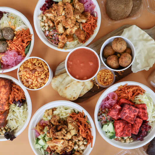 Bowl-based concept for VANZ Indian Fusion restaurant, Jersey Bites, Union City, NJ